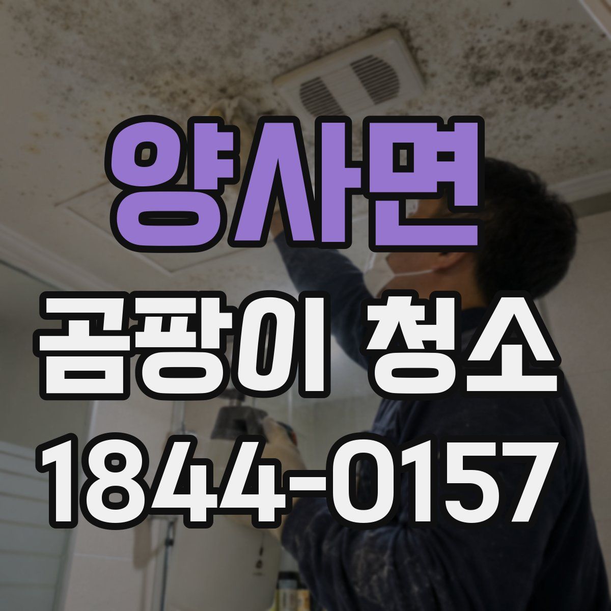 양사면 곰팡이 청소