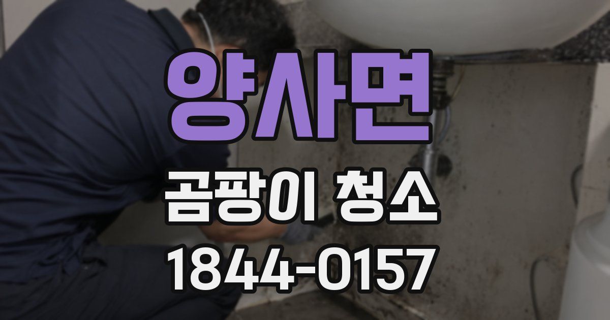 양사면 곰팡이 청소