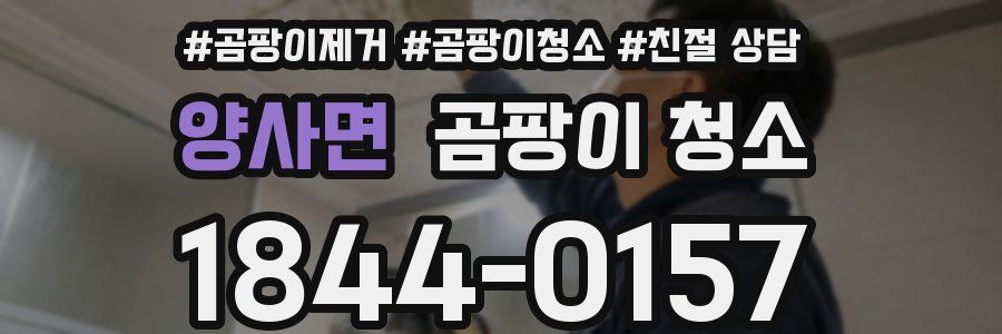 양사면 곰팡이 청소