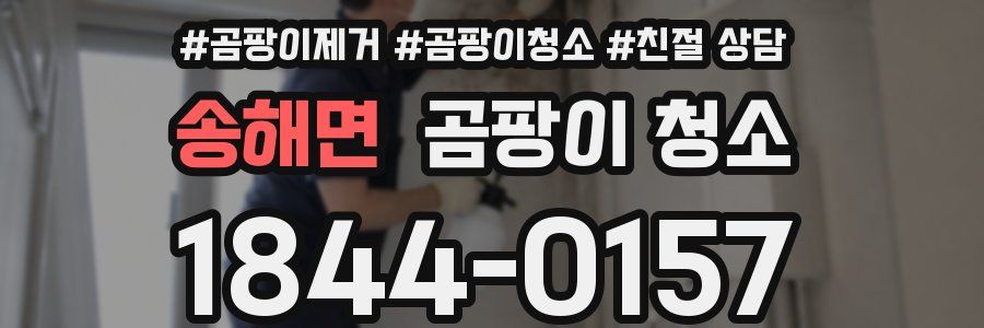 송해면 곰팡이 청소