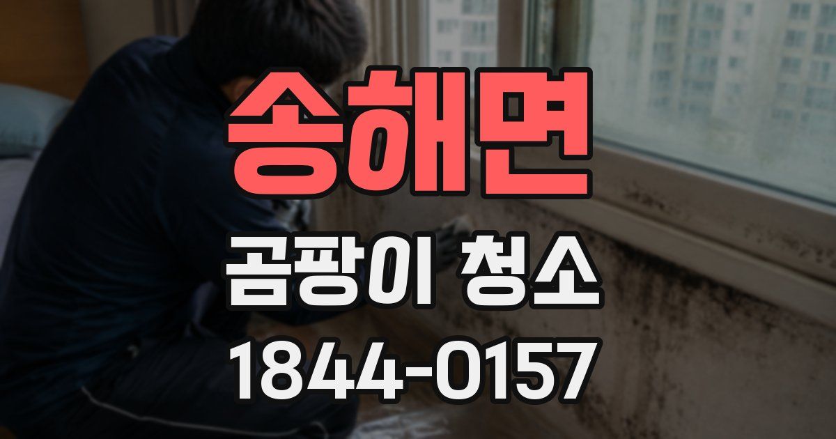 송해면 곰팡이 청소