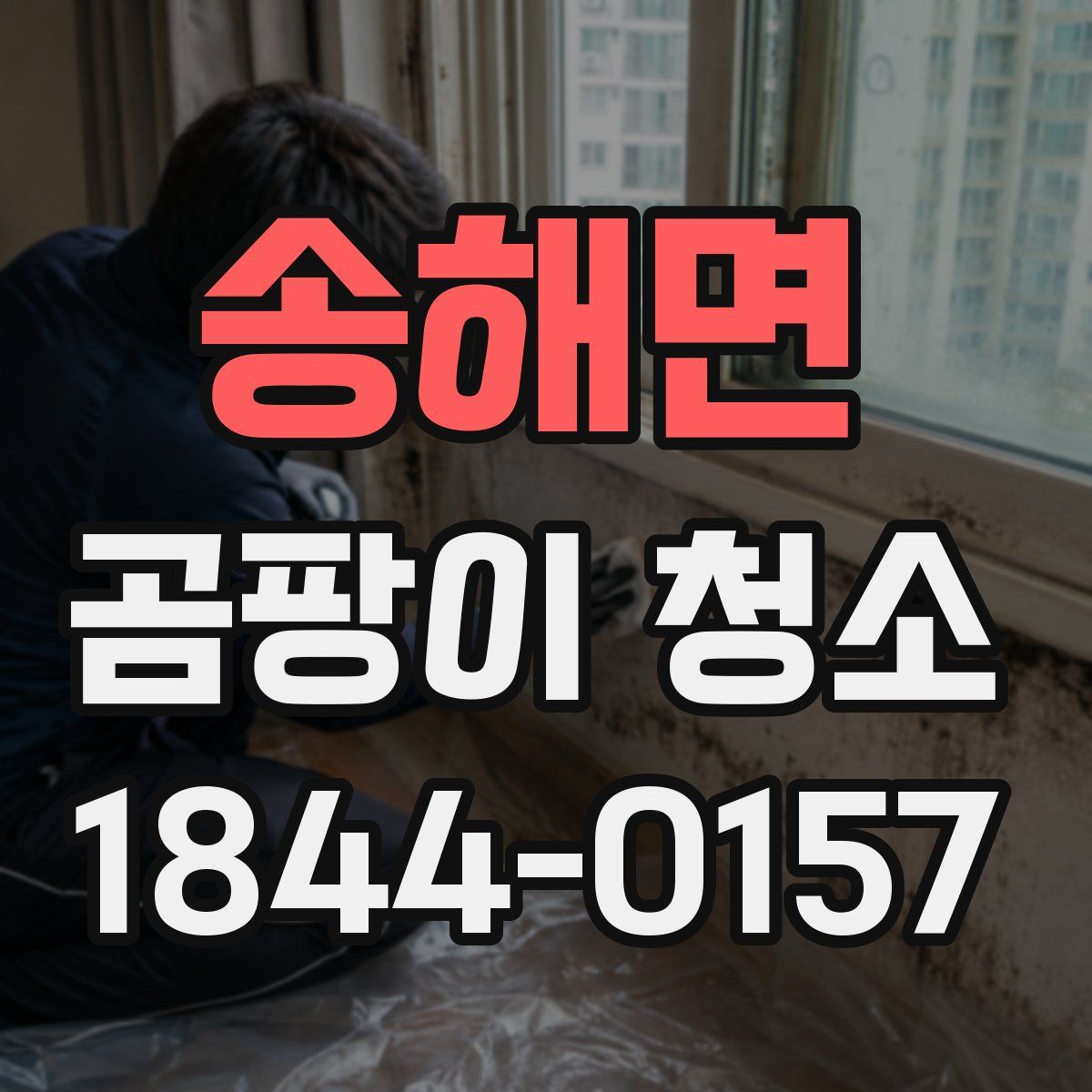 송해면 곰팡이 청소