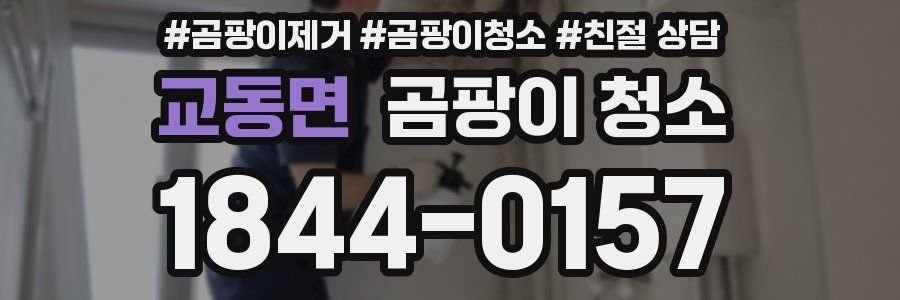 교동면 곰팡이 청소