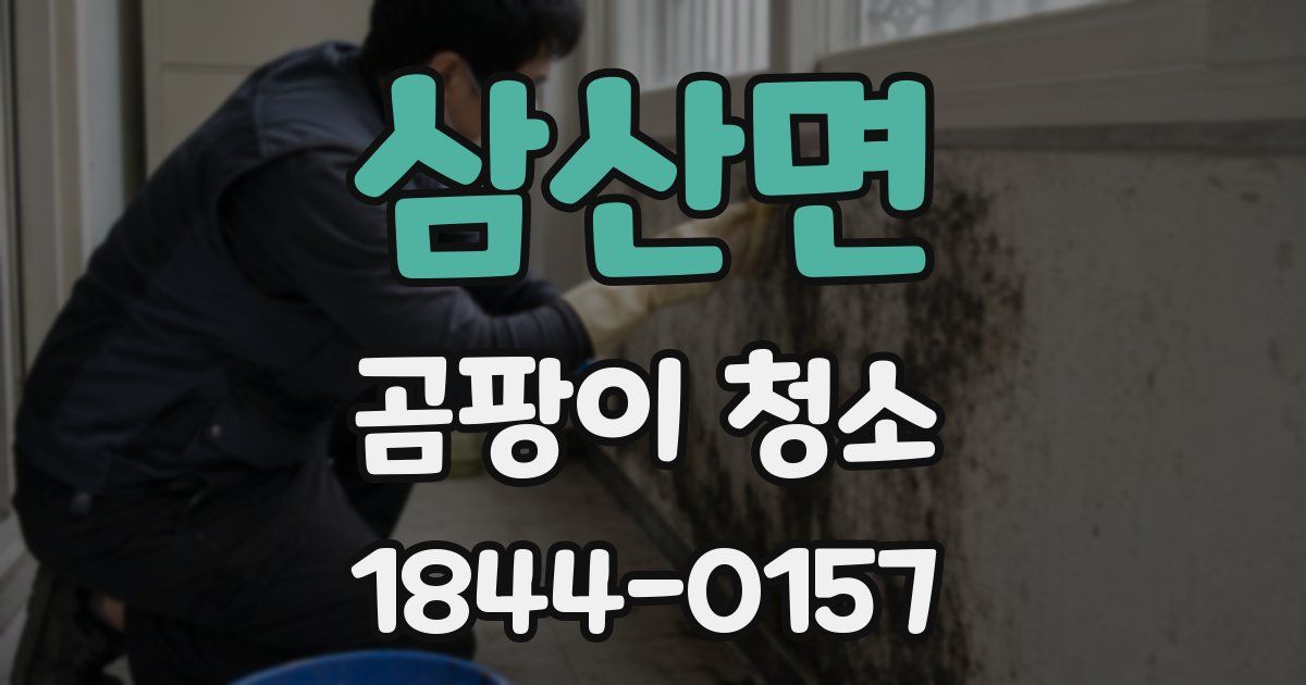 삼산면 곰팡이 청소