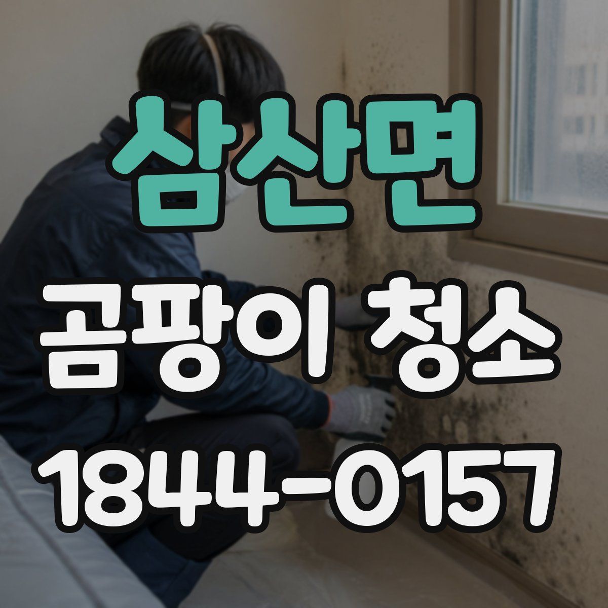 삼산면 곰팡이 청소