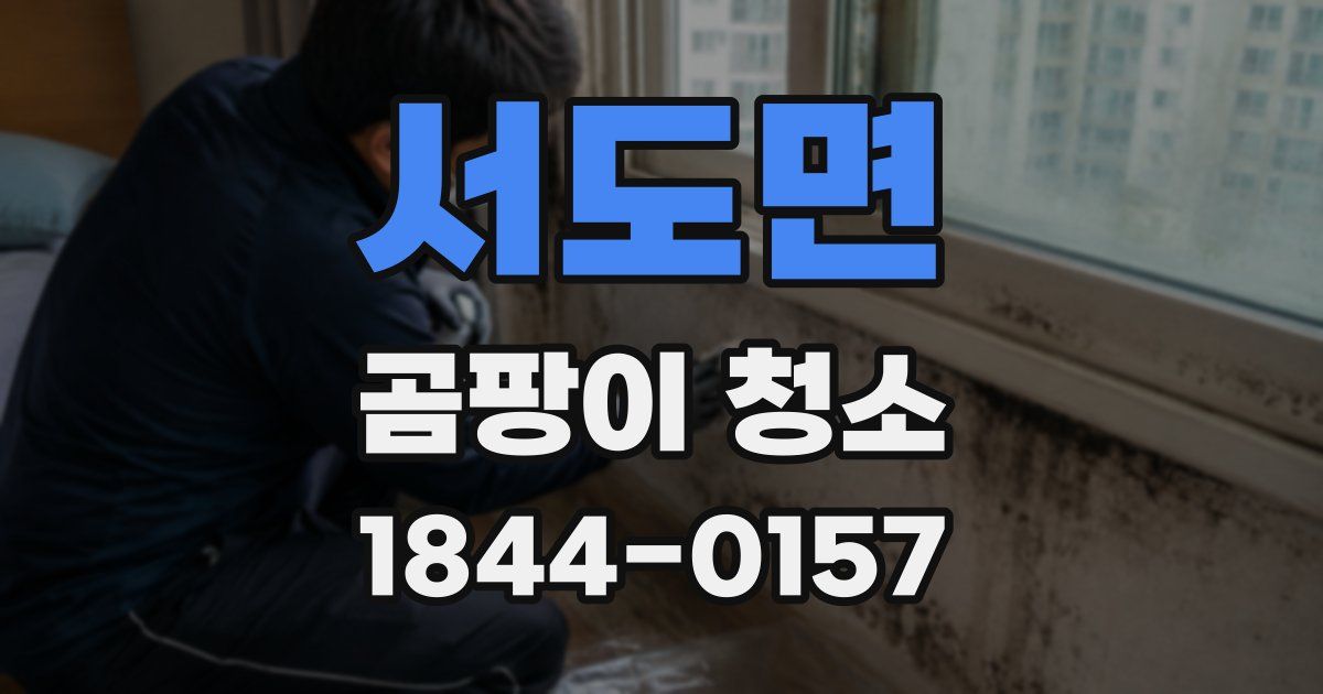 서도면 곰팡이 청소