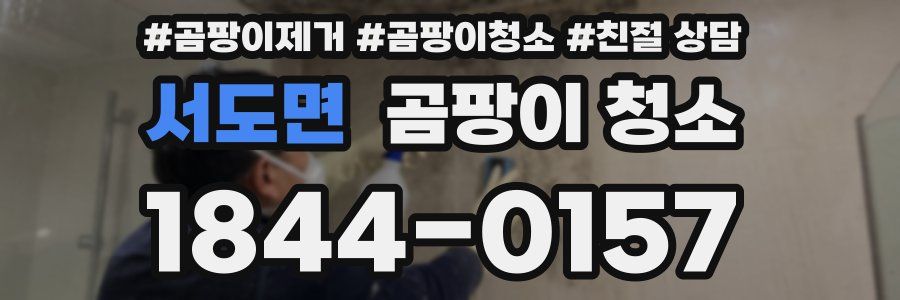 서도면 곰팡이 청소