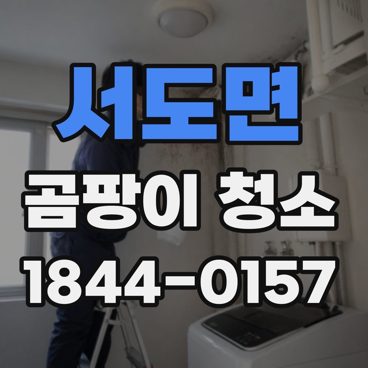 서도면 곰팡이 청소