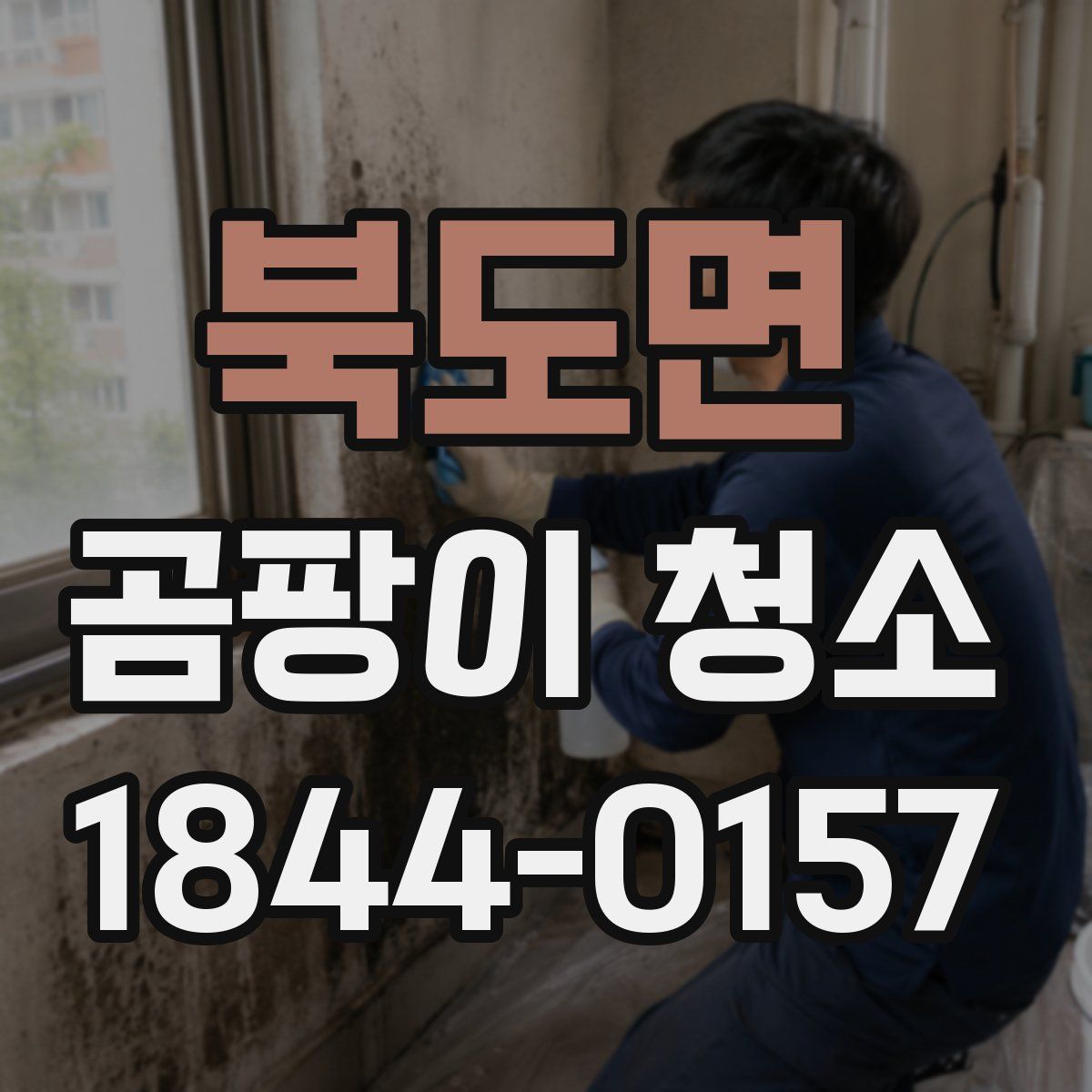 북도면 곰팡이 청소