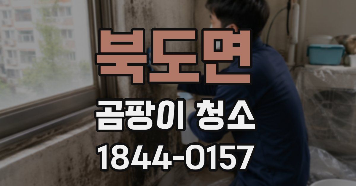 북도면 곰팡이 청소