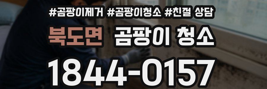 북도면 곰팡이 청소