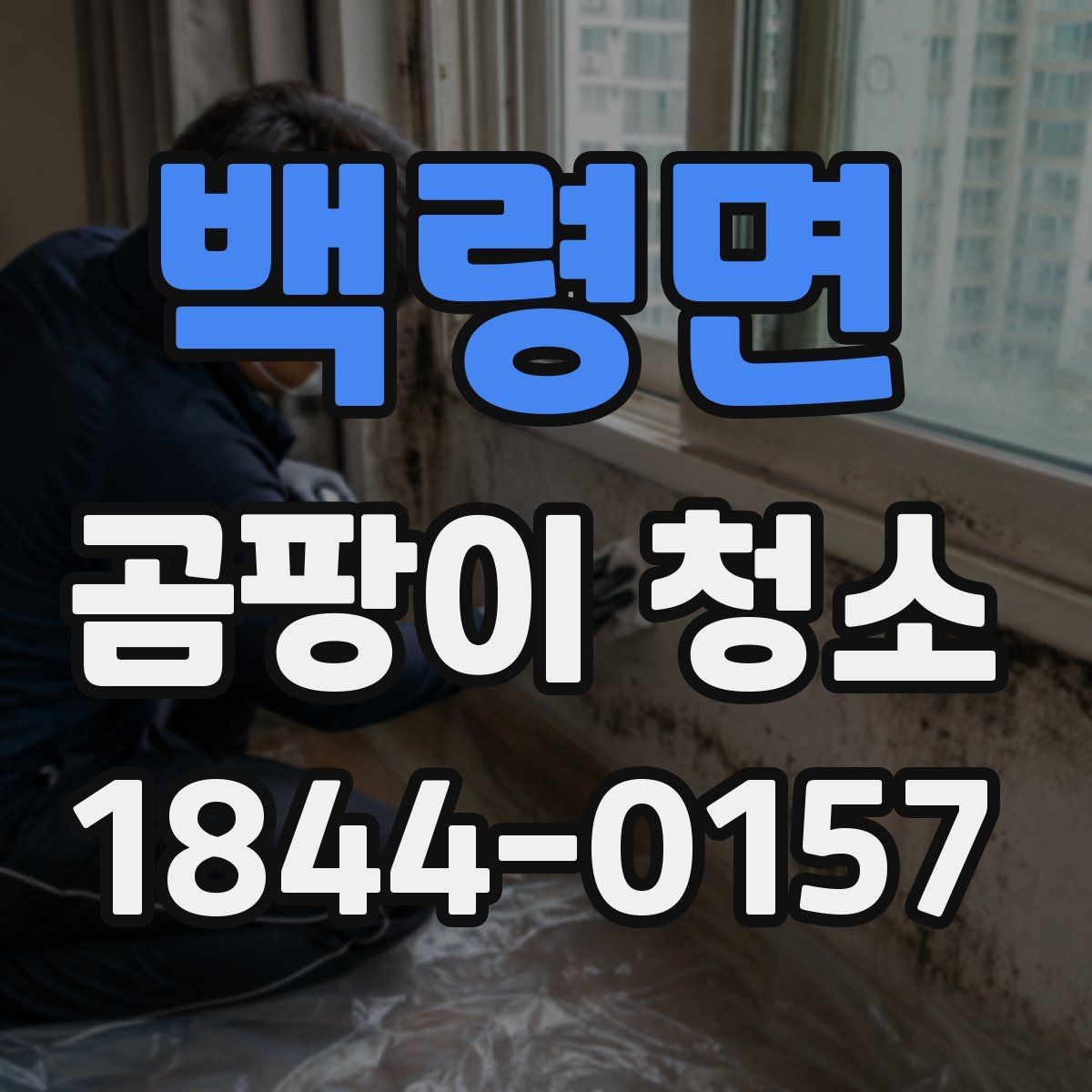백령면 곰팡이 청소 업체 찾을 때 보는 인증과 경험