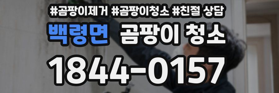 백령면 곰팡이 청소
