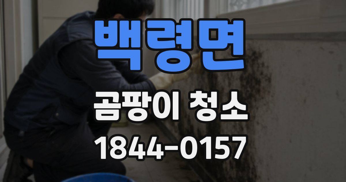 백령면 곰팡이 청소