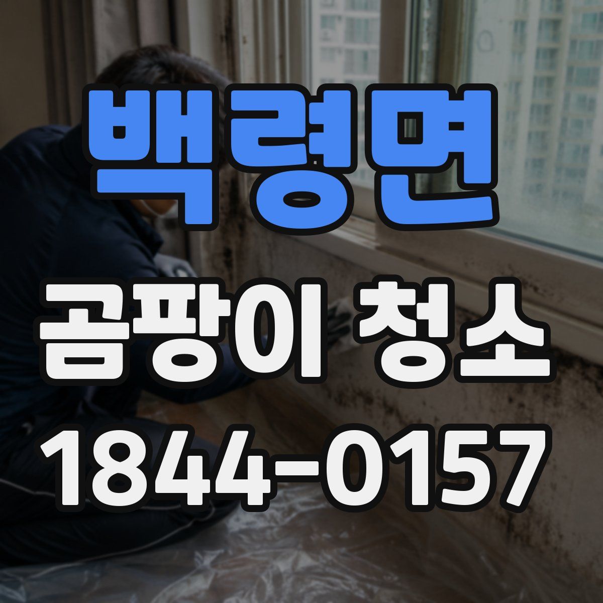 백령면 곰팡이 청소