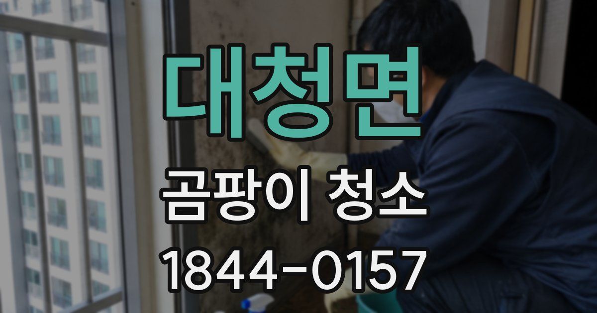 대청면 곰팡이 청소