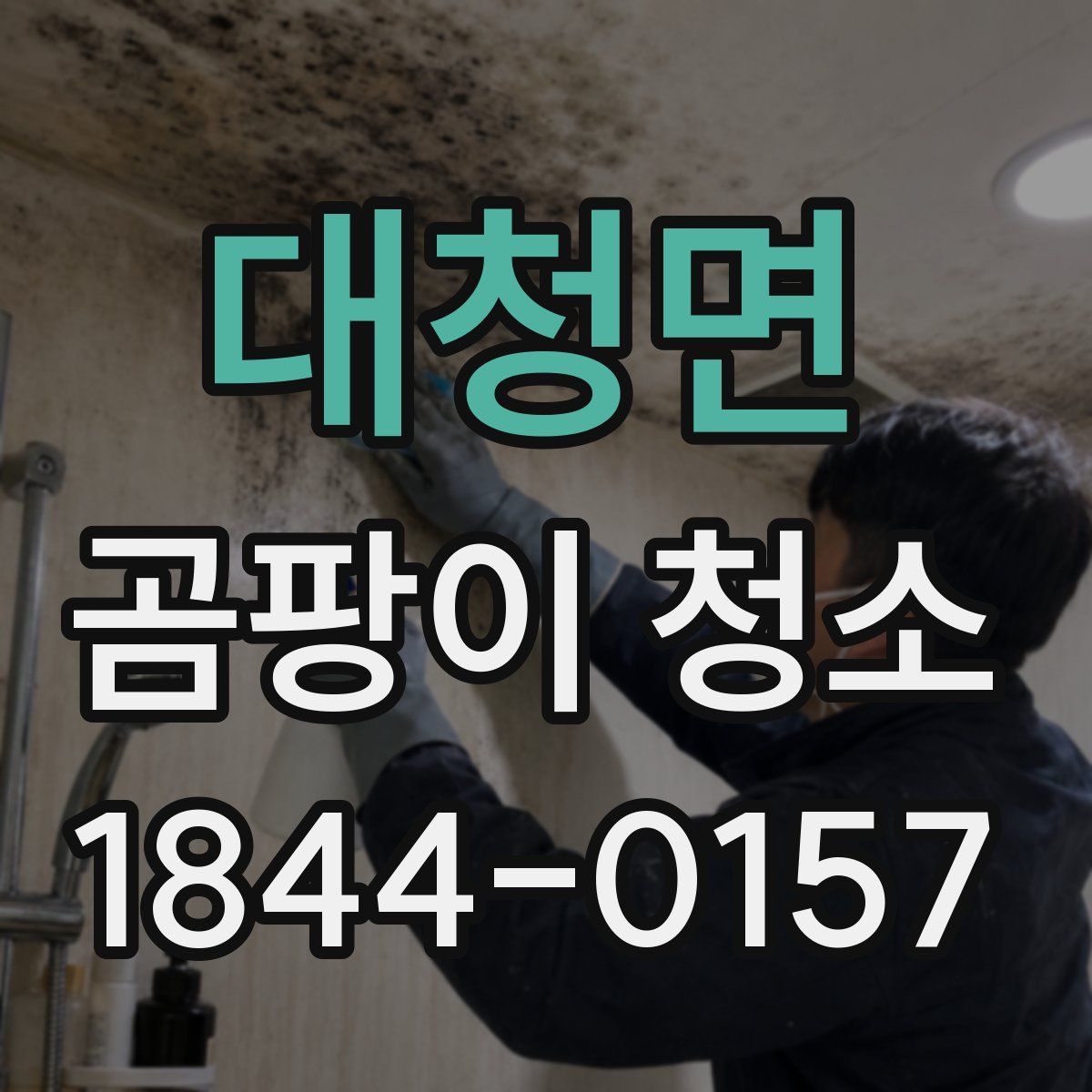 대청면 곰팡이 청소