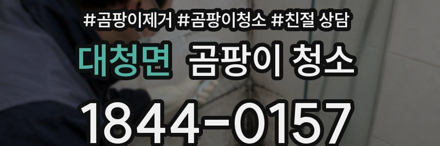 대청면 곰팡이 청소