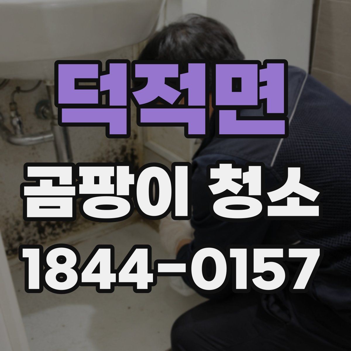 덕적면 곰팡이 청소 시 벽지와 타일은 어떻게 다를까