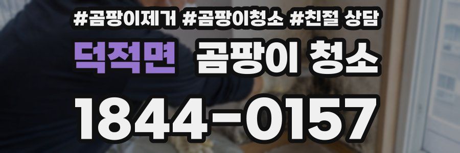 덕적면 곰팡이 청소