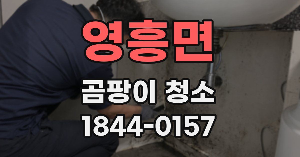 영흥면 곰팡이 청소