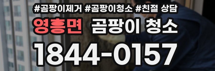 영흥면 곰팡이 청소