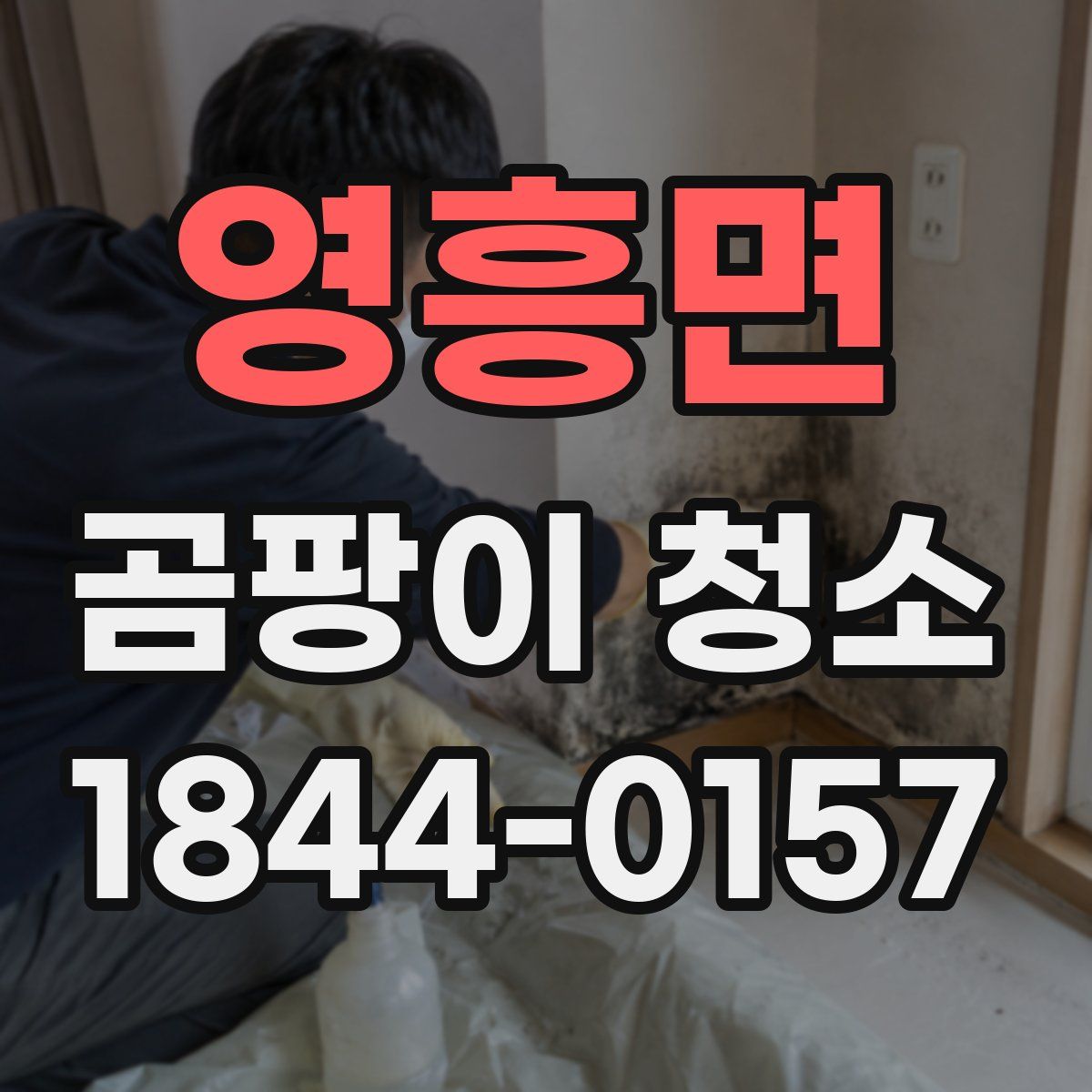 영흥면 곰팡이 청소