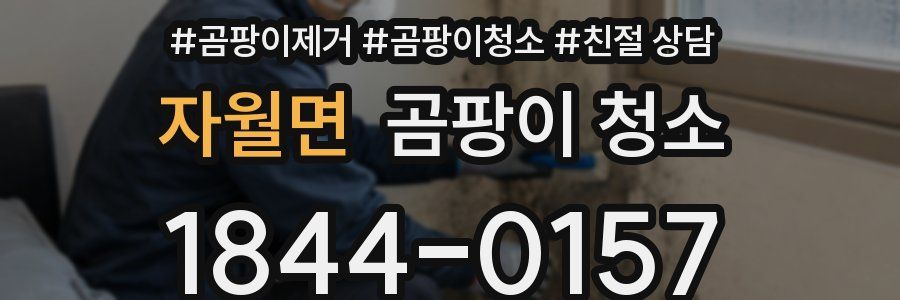 자월면 곰팡이 청소