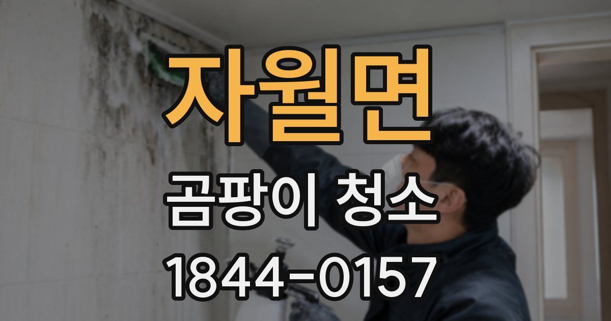 자월면 곰팡이 청소