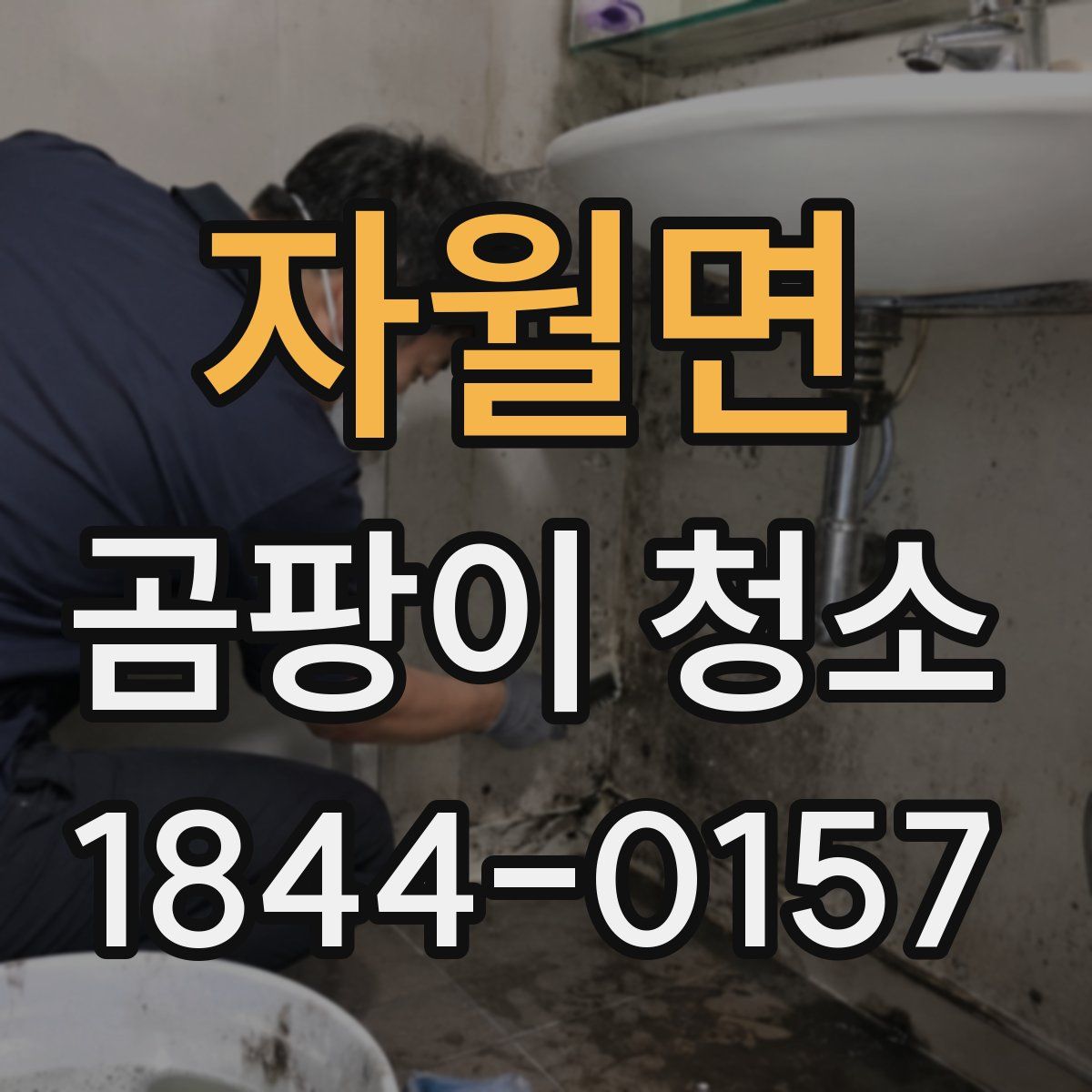 자월면 곰팡이 청소