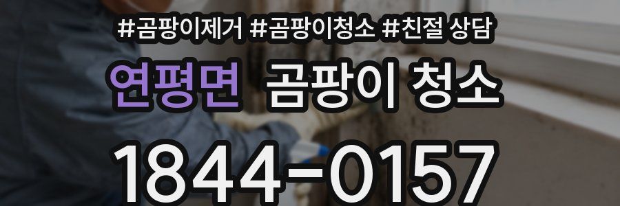 연평면 곰팡이 청소