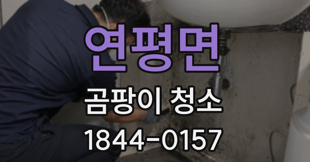 연평면 곰팡이 청소