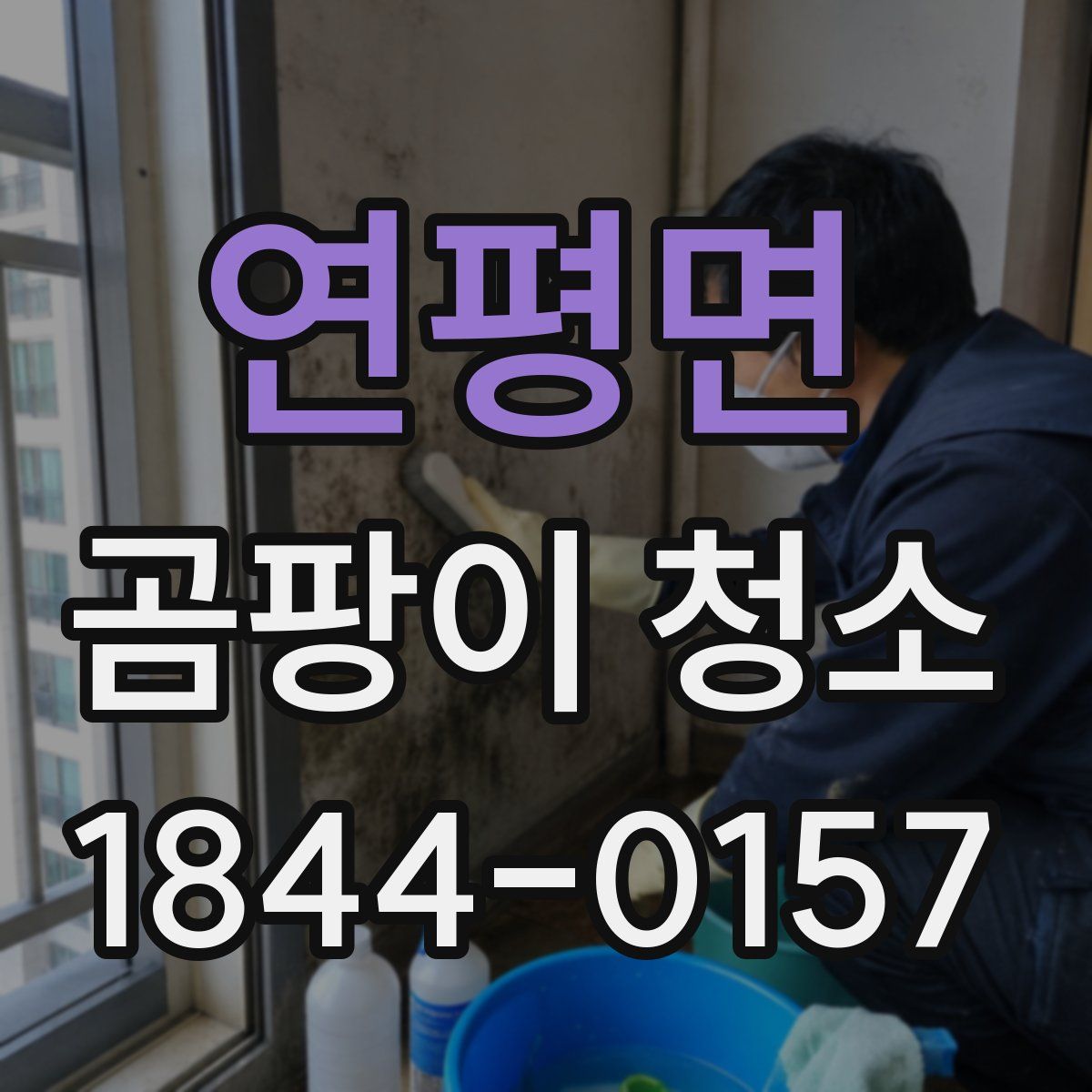 연평면 곰팡이 청소