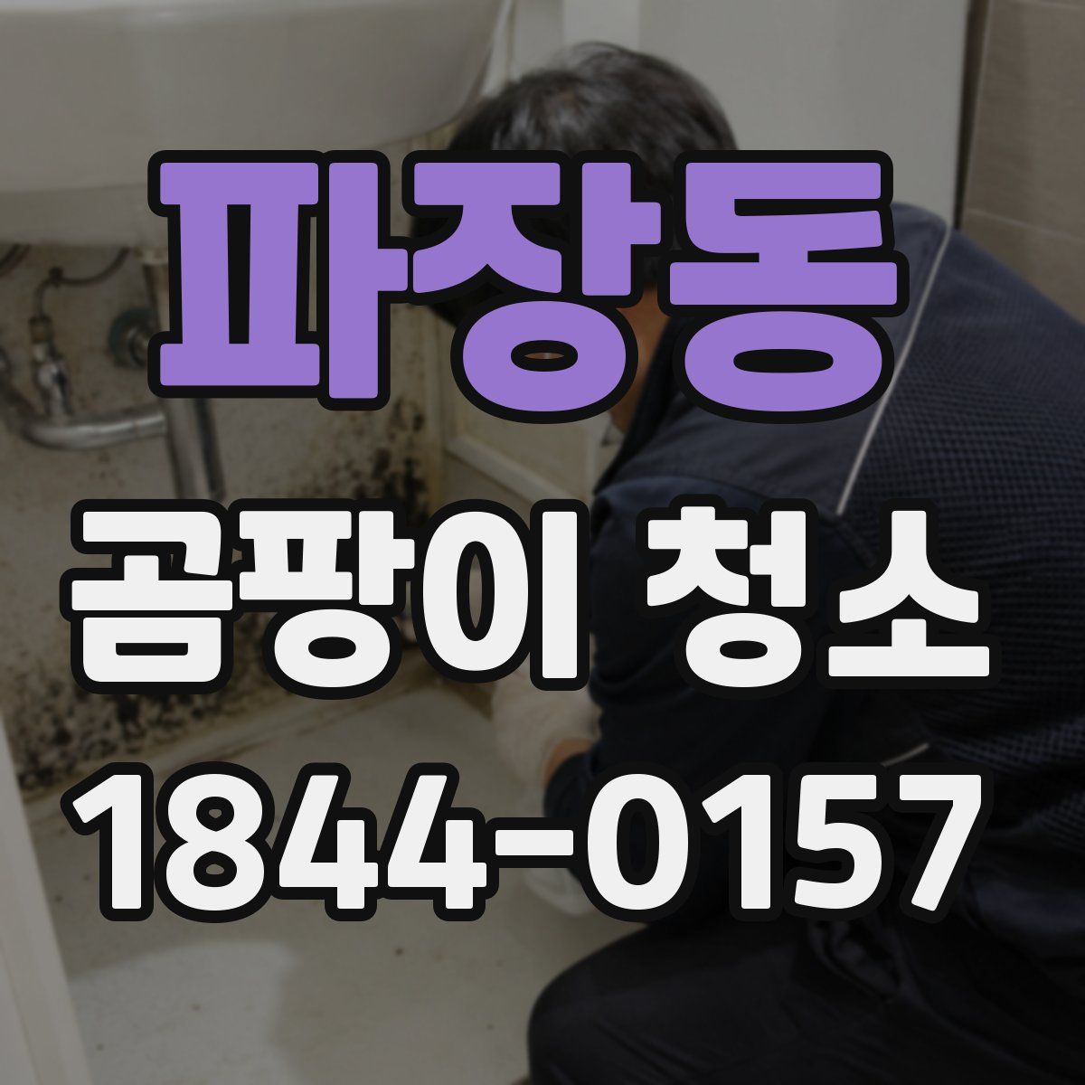 파장동 곰팡이 청소