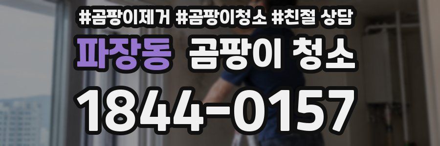 파장동 곰팡이 청소