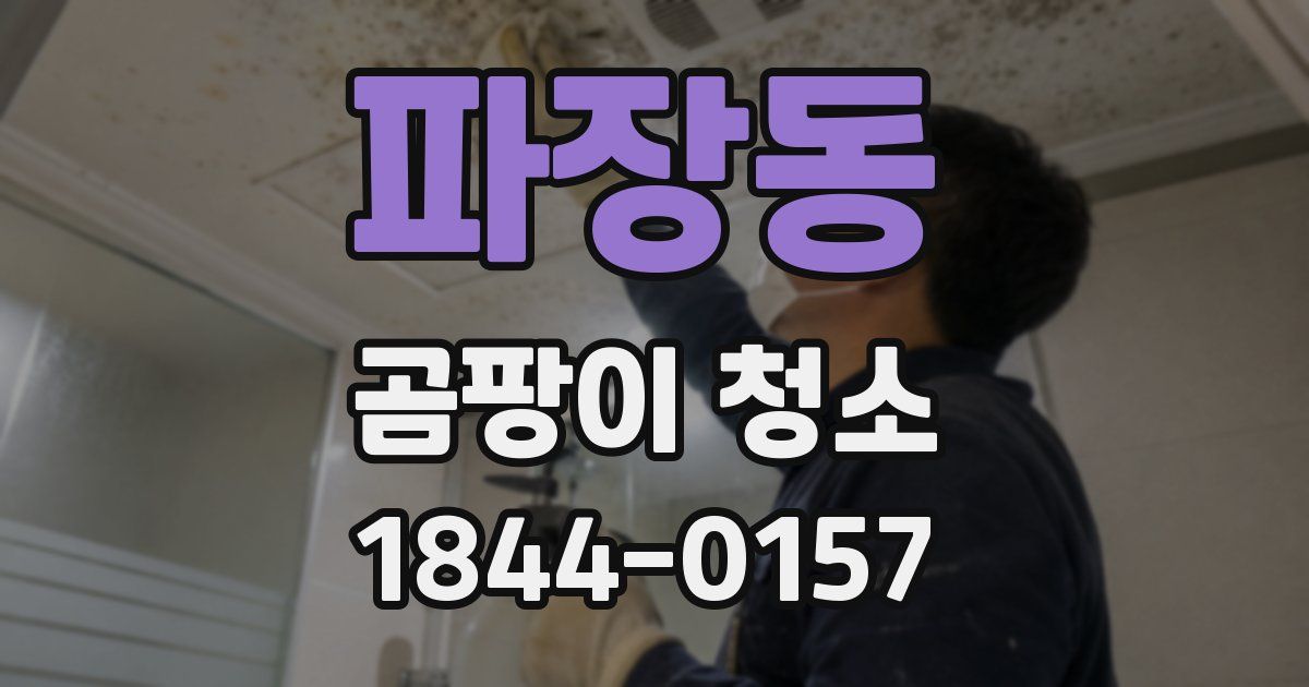 파장동 곰팡이 청소