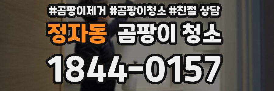 정자동 곰팡이 청소