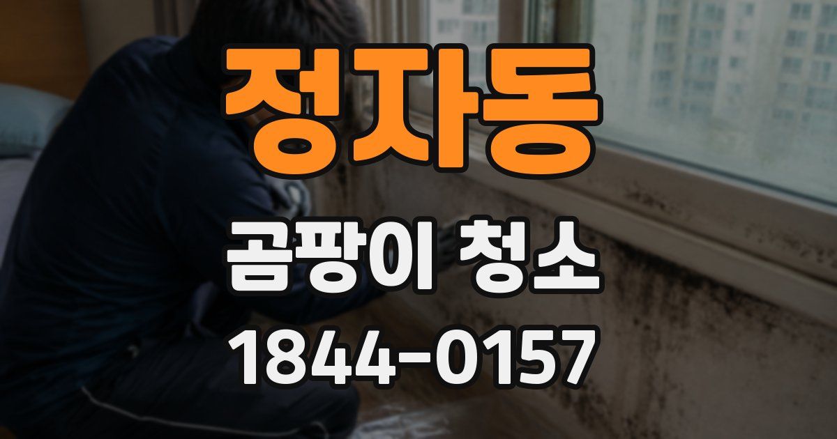 정자동 곰팡이 청소