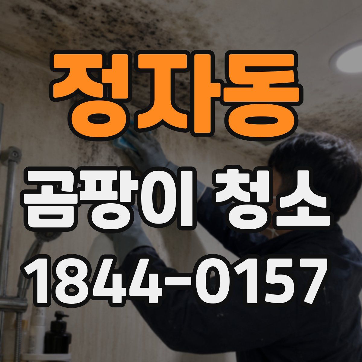 정자동 곰팡이 청소