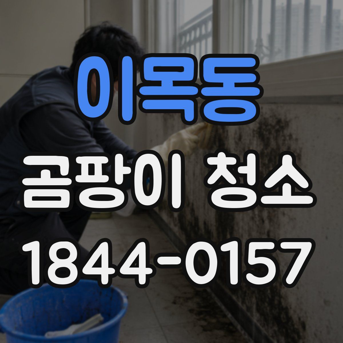이목동 곰팡이 청소