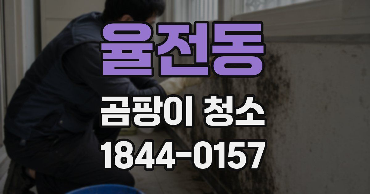 율전동 곰팡이 청소
