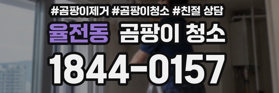 율전동 곰팡이 청소