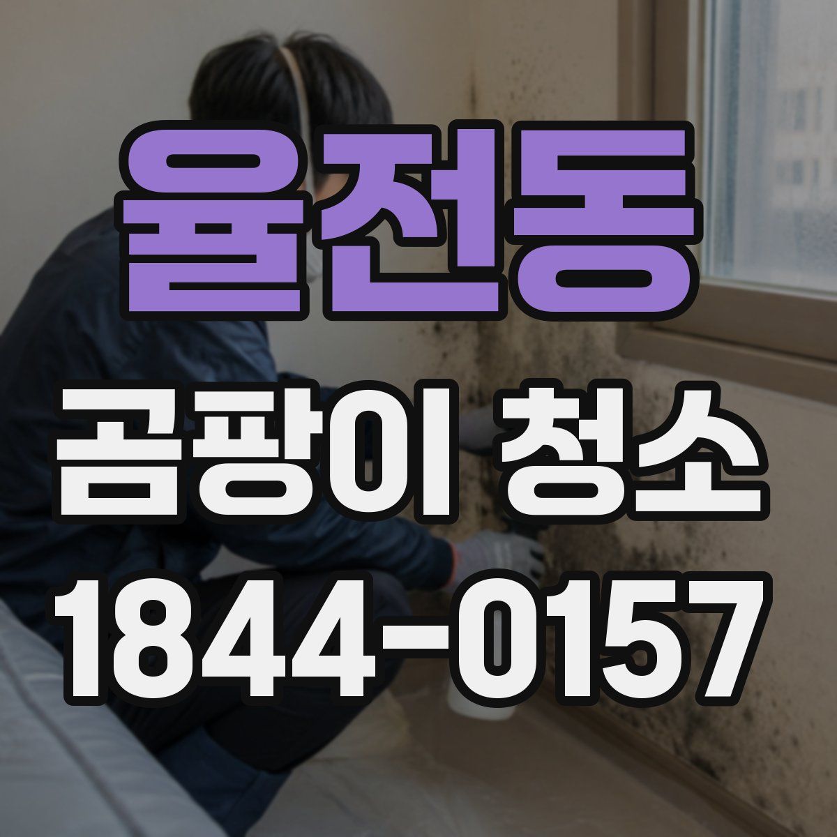 율전동 곰팡이 청소