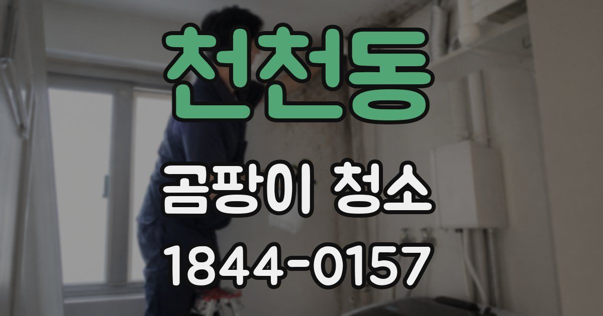 천천동 곰팡이 청소