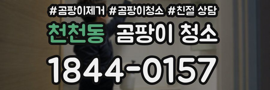 천천동 곰팡이 청소