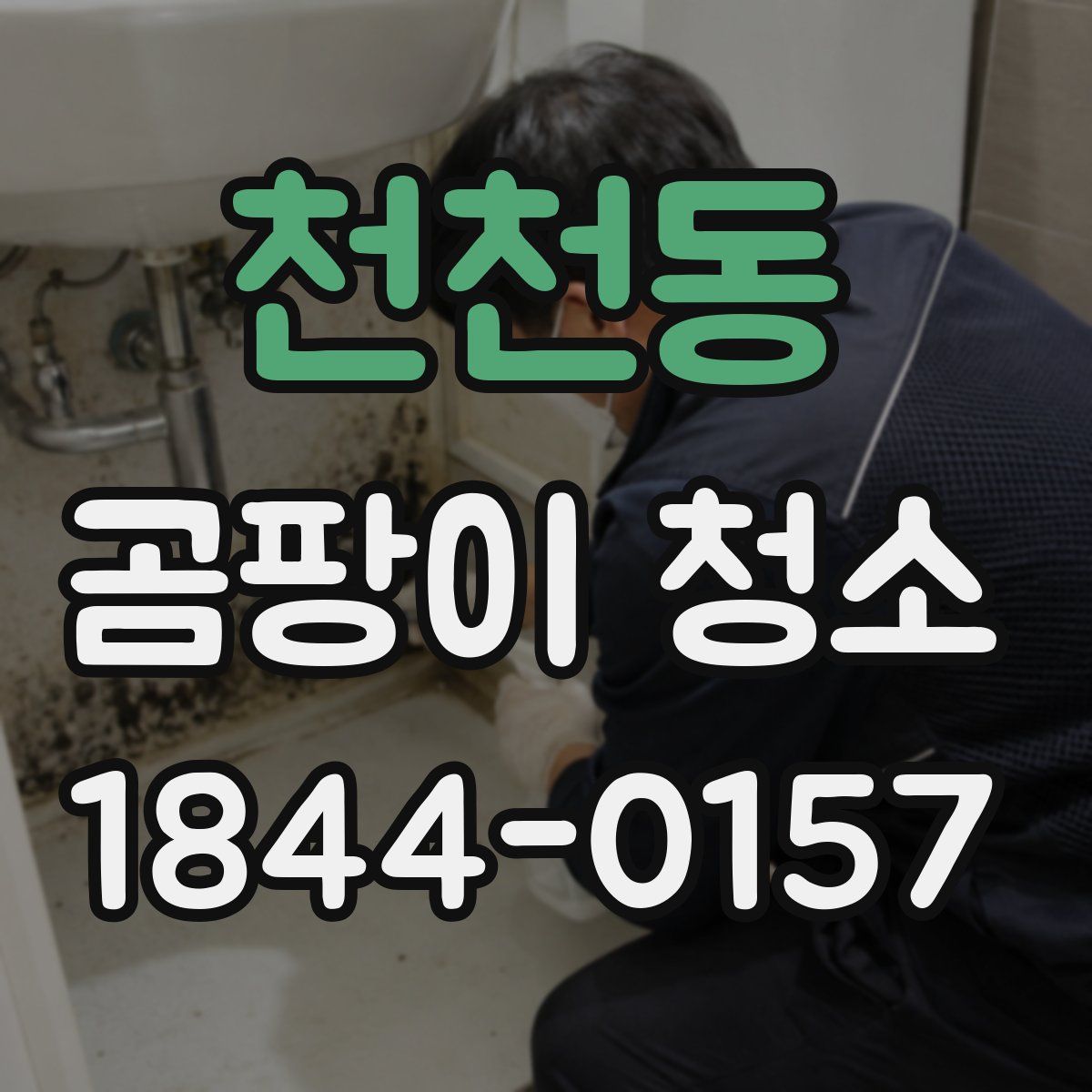 천천동 곰팡이 청소