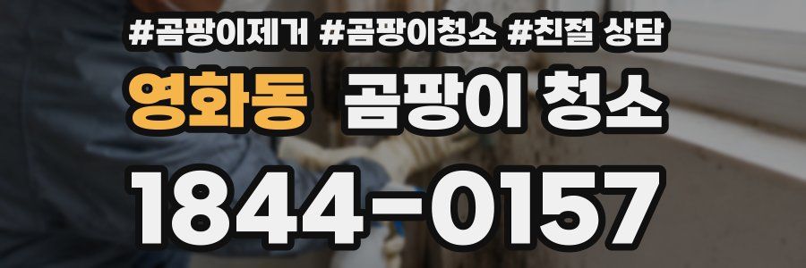 영화동 곰팡이 청소