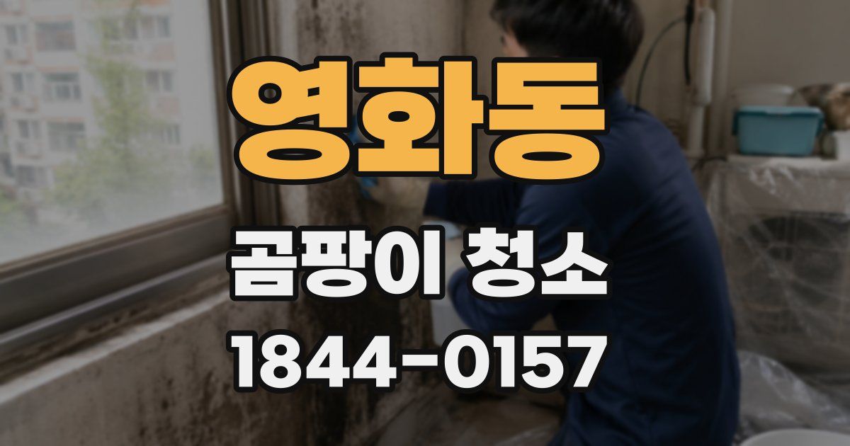 영화동 곰팡이 청소