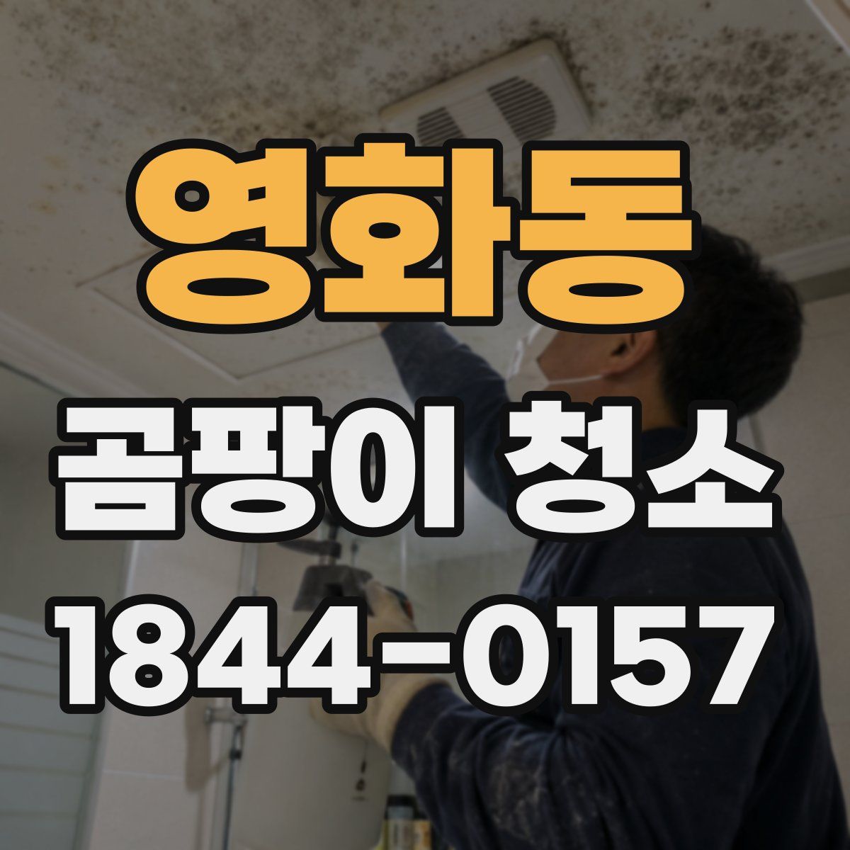 영화동 곰팡이 청소