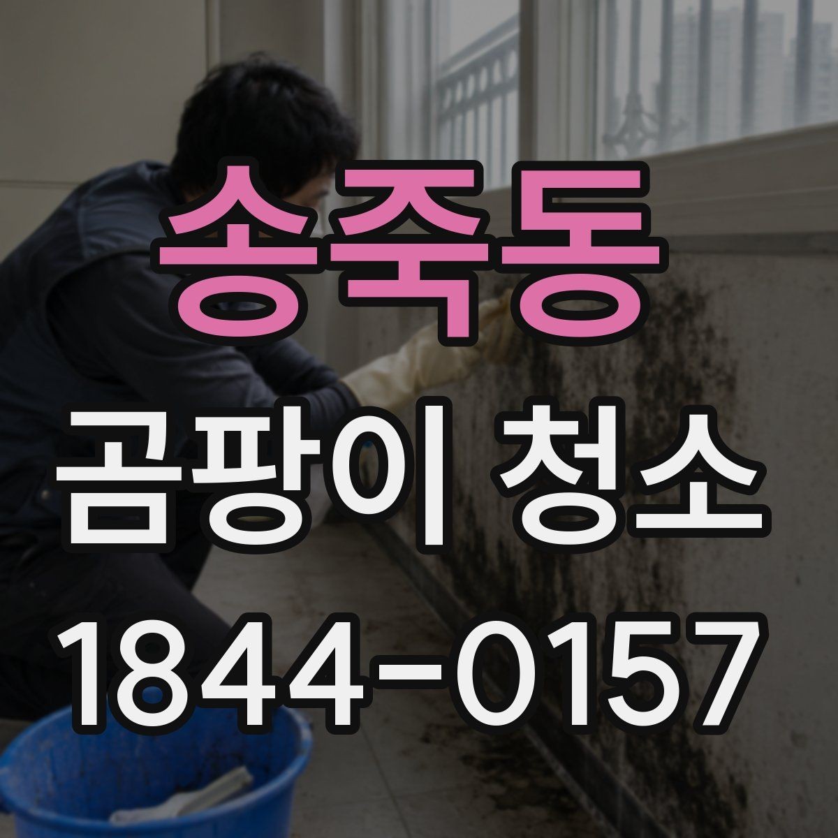 송죽동 곰팡이 청소 후 남은 얼룩 처리 방법